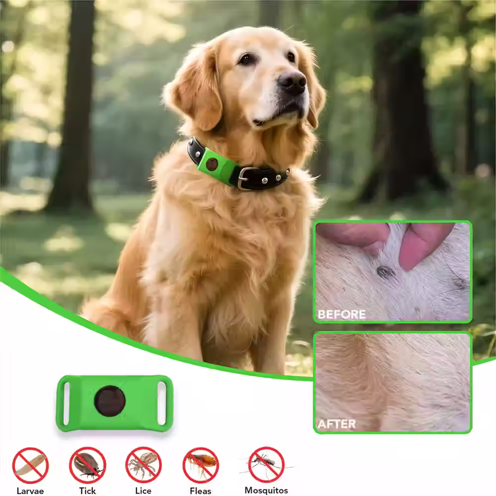 🐾 PawGuard Collar