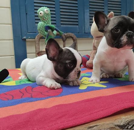 WhatsApp Image 2025-01-10 at 11.45_edited.jpg