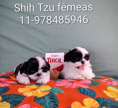 WhatsApp Image 2025-10-08 at 16.36.45.jpeg