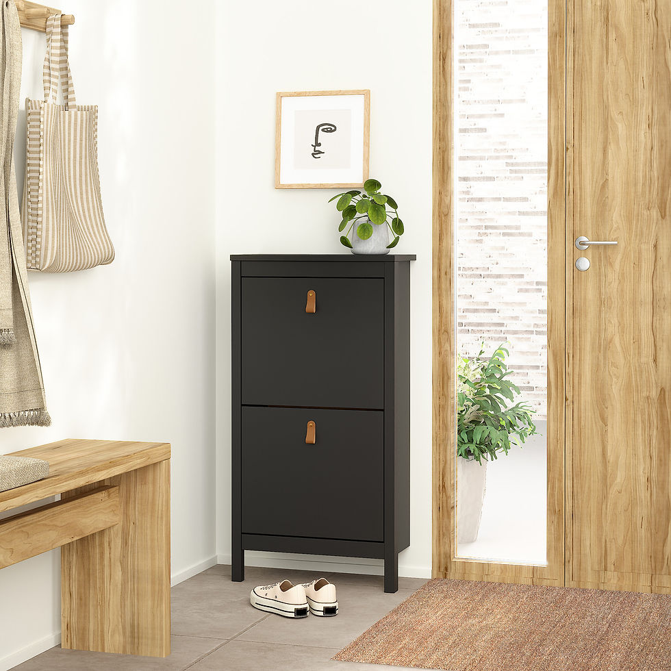 Thumbnail: Bradley Shoe Cabinet 2 flap doors Matt Black
