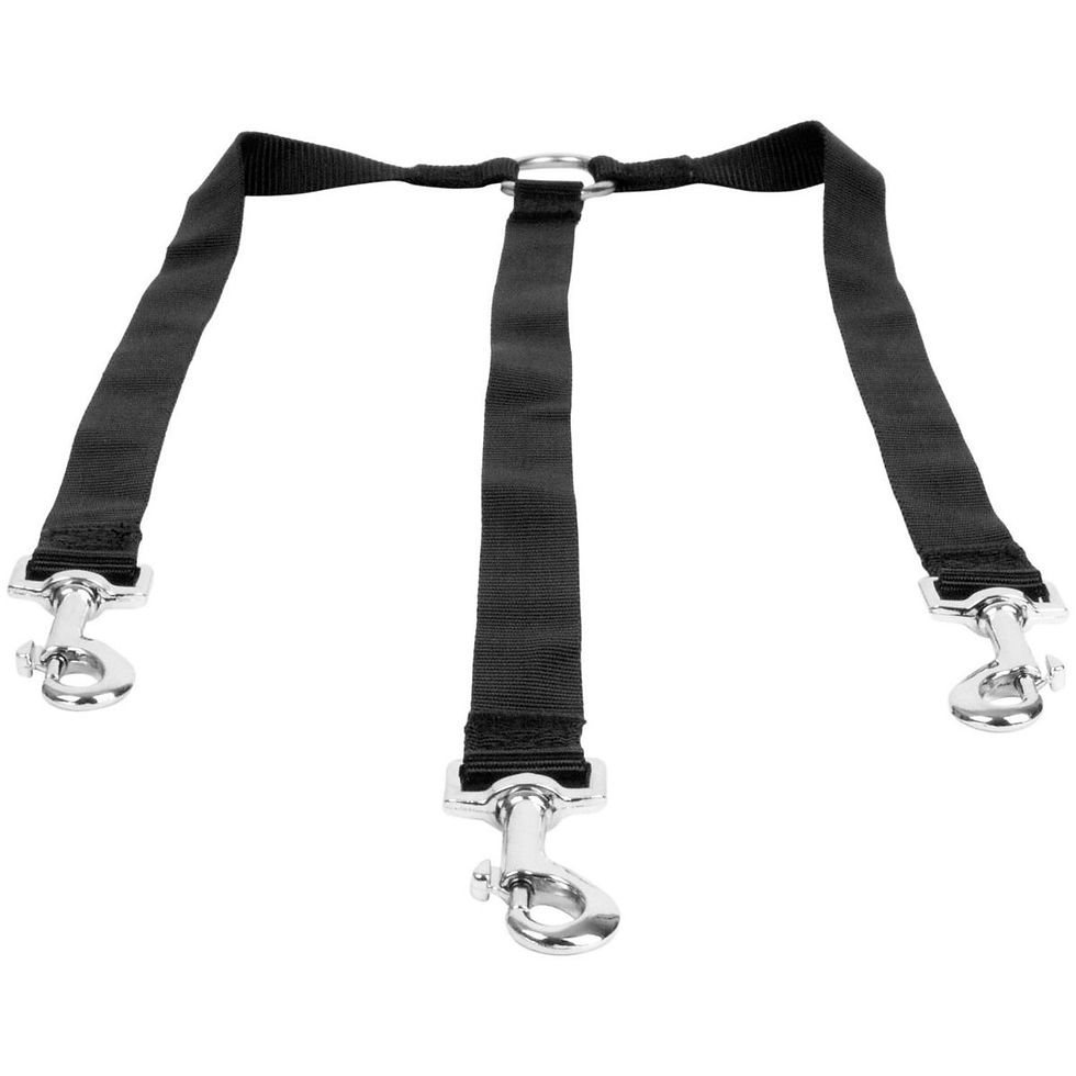 Thumbnail: Dog Lead Triple Attachment