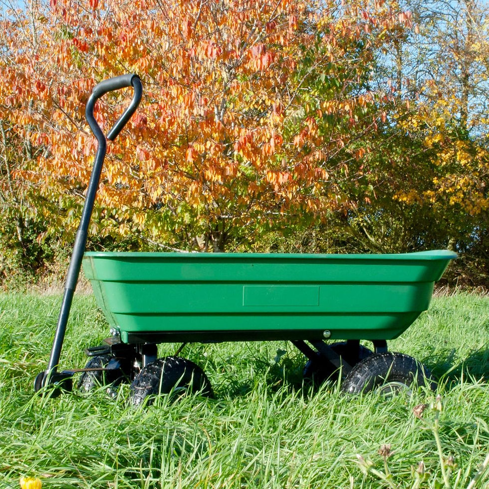 Thumbnail: Garden Dump Trolley