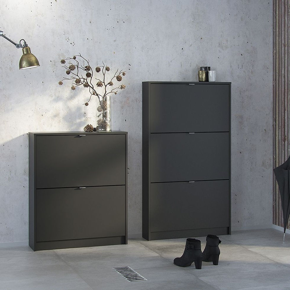 Thumbnail: Shoes Shoe cabinet 2 flip-down doors and 2 layers in Matt Black