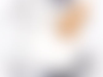 A Bright Bit from Missouri: 5 Star Review