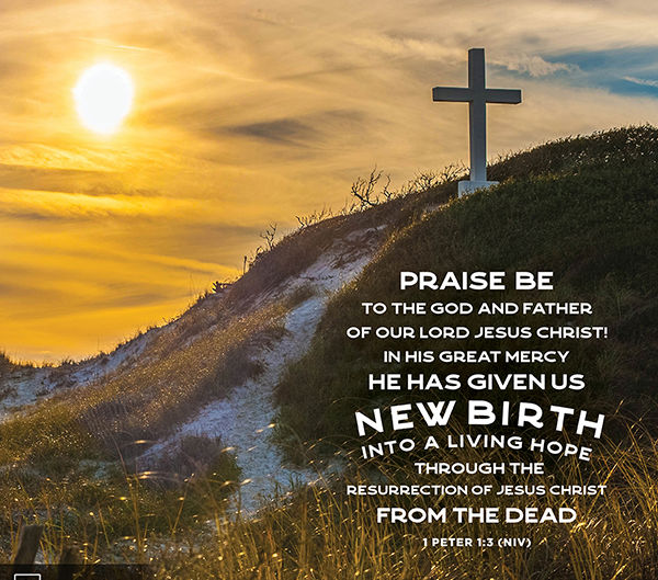 Blog post April 15, 2026