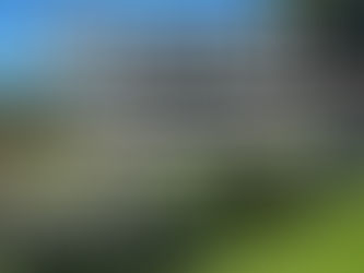 Blog post July 29, 2026