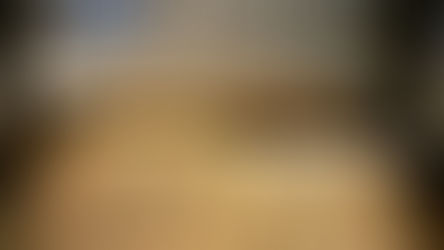 Journal entry February 3, 2026