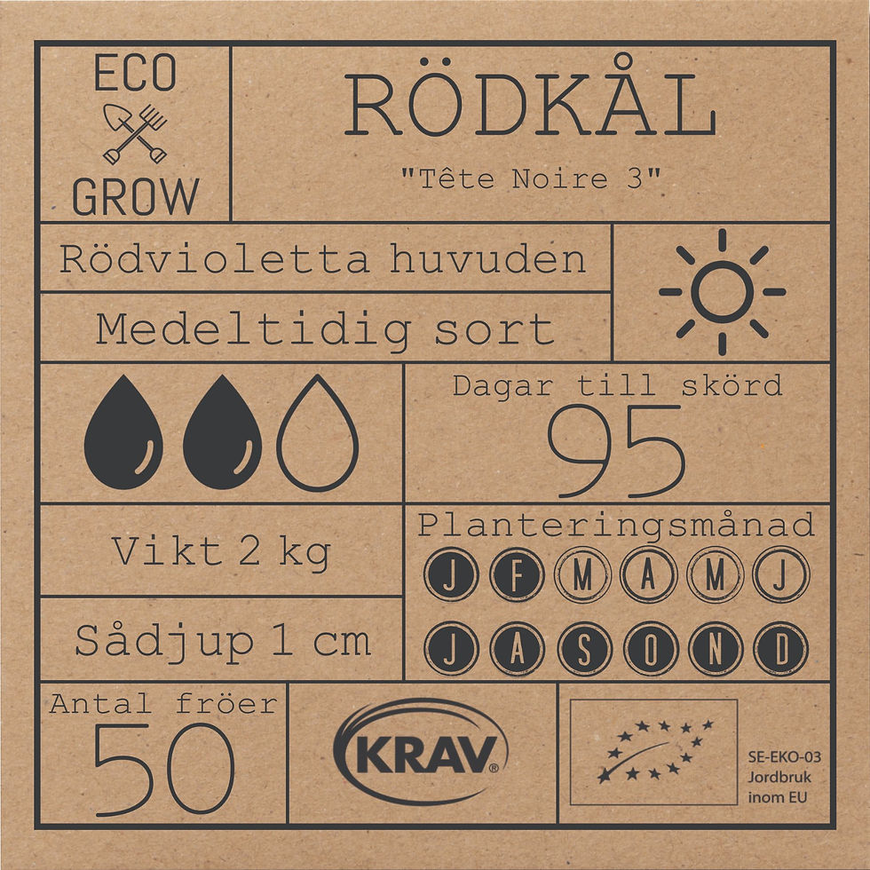 Miniatyrbild: Rödkål Tête Noire 3 fröer