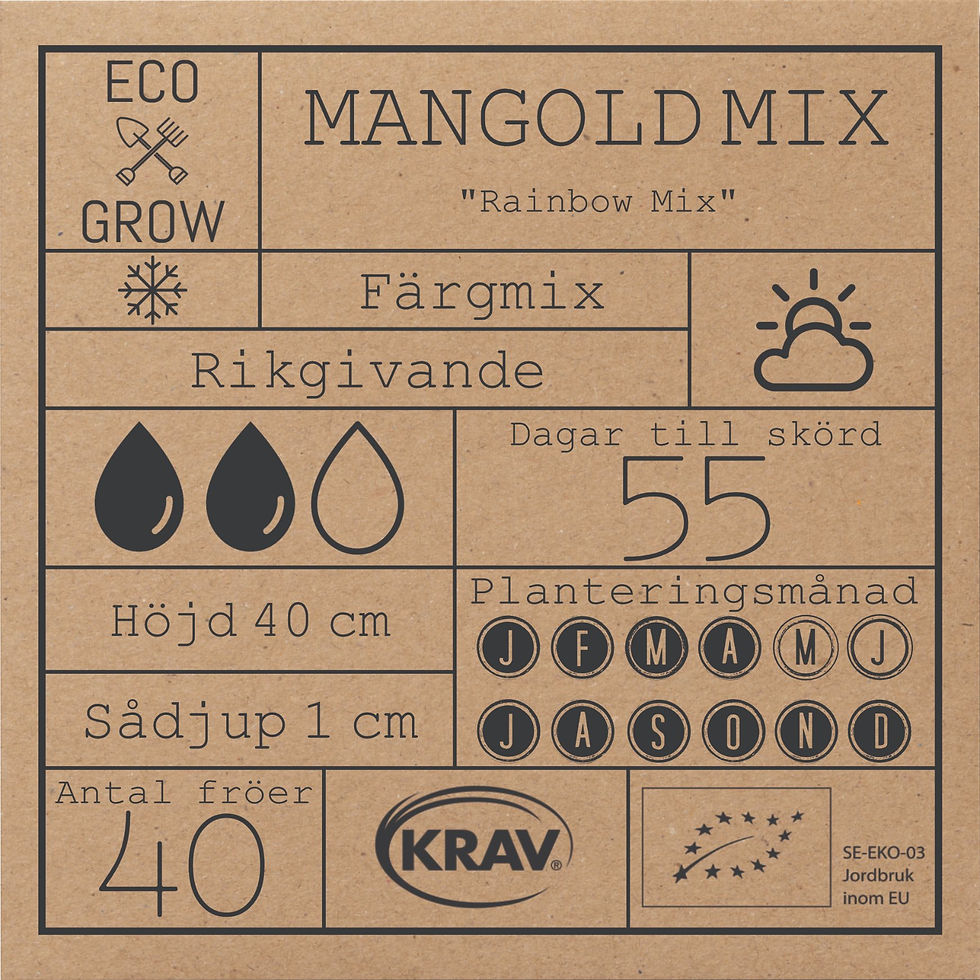 Miniatyrbild: Mangold Mix Rainbow Mix  Eco Grow Ekologiska Fröer