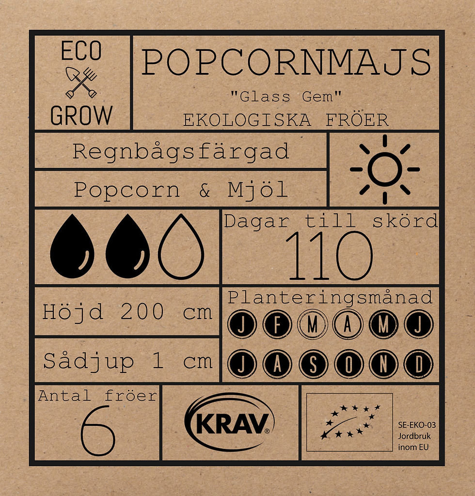 Miniatyrbild: Glass Gem - Zea Mays - Majs