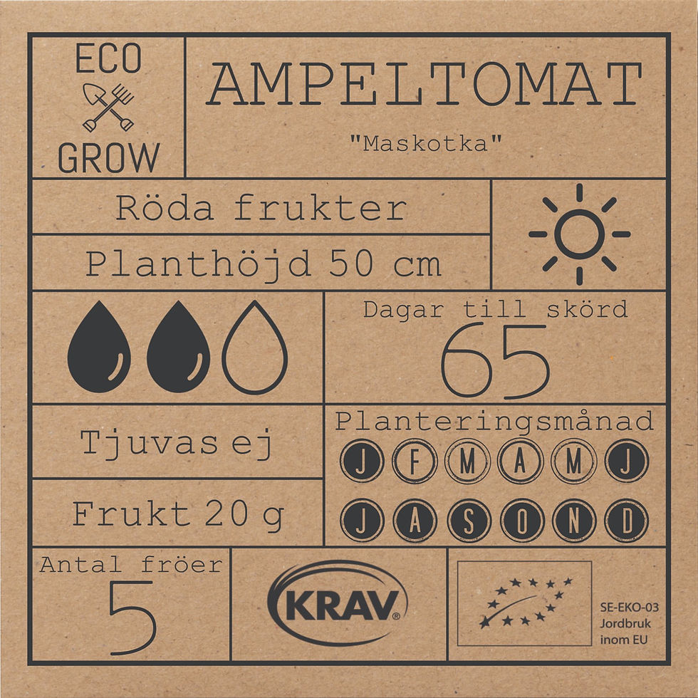 Miniatyrbild: Ampeltomat Maskotka