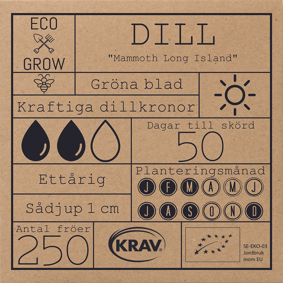 Miniatyrbild: Dill Mammoth Long Island - Ekologiska Fröer