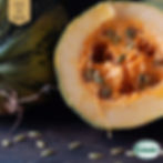 Nakenfröpumpa oljefröpumpa ekologiska fröer