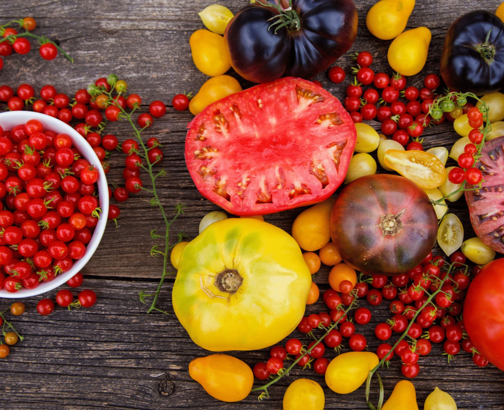 Odla tomater - enkla tips för att komma igång med din tomatodling!
