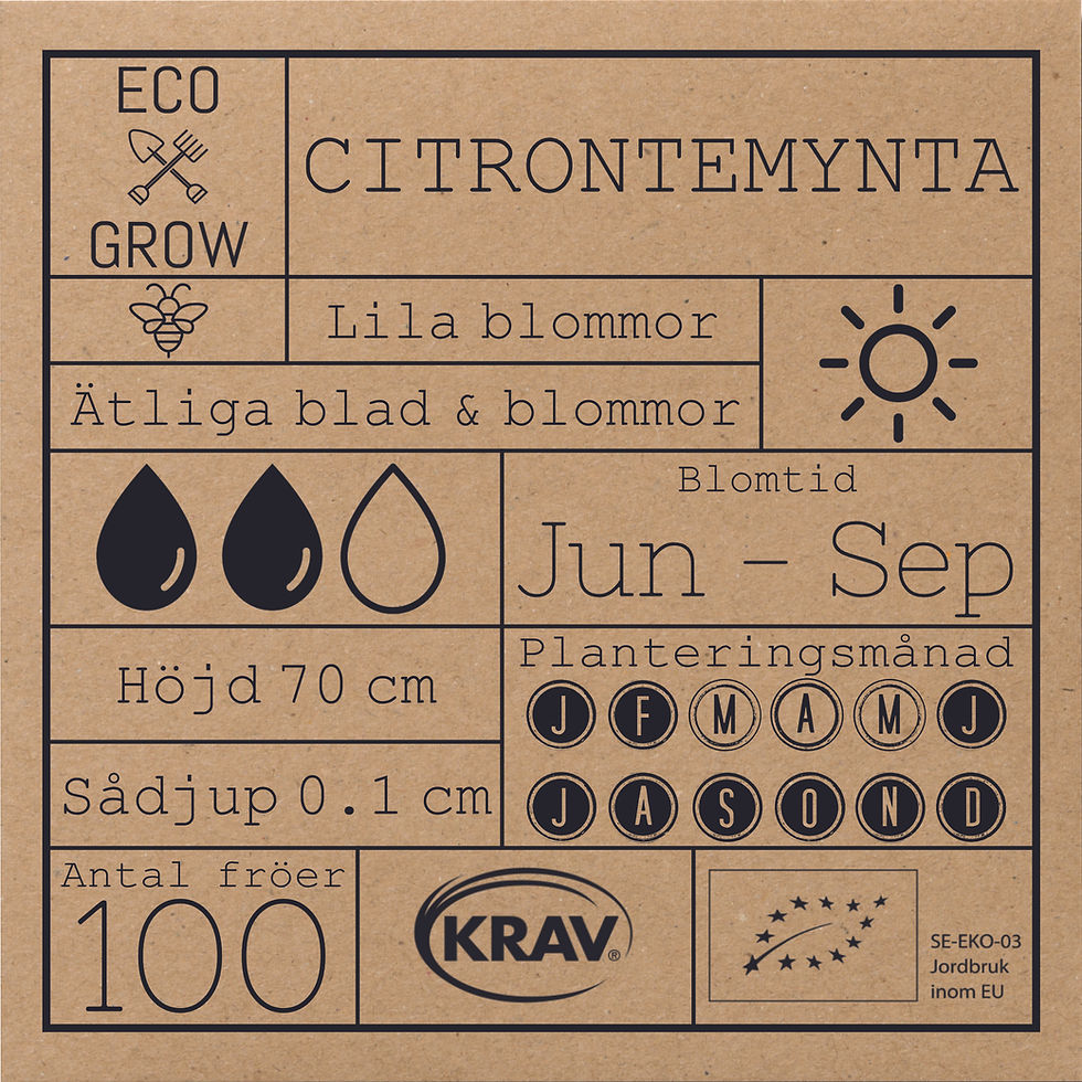 Miniatyrbild: CITRONTEMYNTA