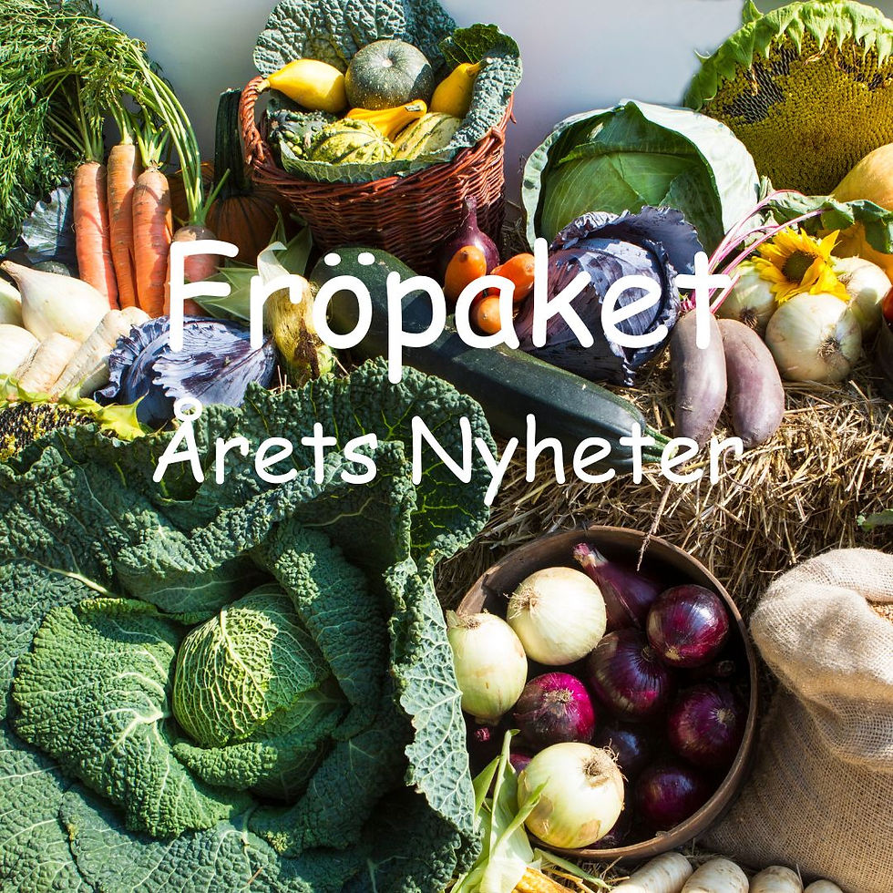 Fröpaket - Årets Nyheter