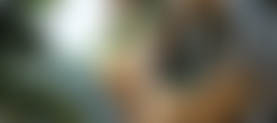 Streamlining the Workflow: Conceptualising Architectural Design with AI