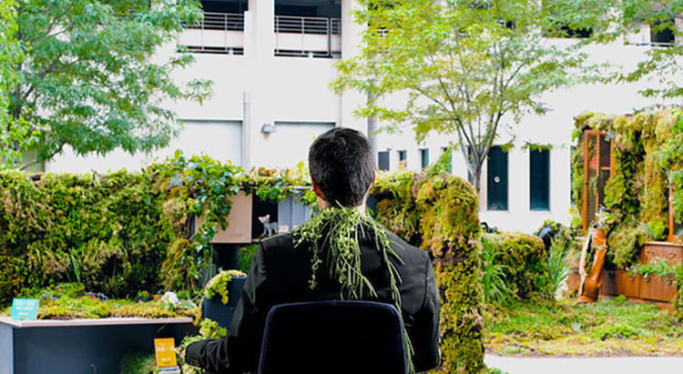 Bringing Nature to the Office: Exploring Biophilic Wellness Design in Workplace Environments