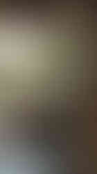 Bonsai garden inside with seat