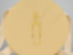 Mother Mary Case