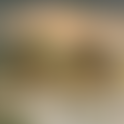 The Magic of Christmas Markets