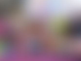 【學習無距離】國中小教室無線網路比例達94.16%