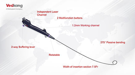 Single-use Digital Flexible Ureteroscopes