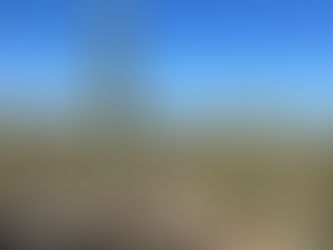 Arid