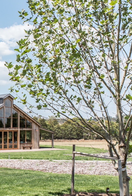 Cottonwood x The Stables at Bendooley Estate-112.jpg
