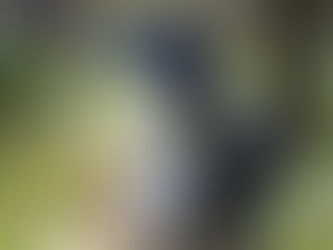 Opting into Simple Acts of Self Discipline