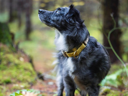 Opting into Simple Acts of Self Discipline