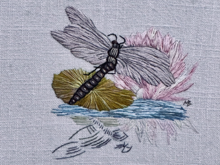 Libelle auf Seerose