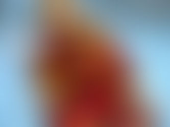 Beutel mit Kordelstickerei