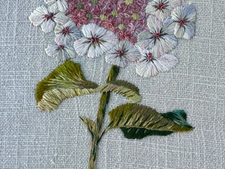 Einzelblüte Hortensie