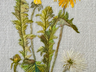 Kleines Löwenzahn Arrangement
