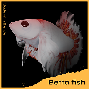 betta fish thumbnail.png