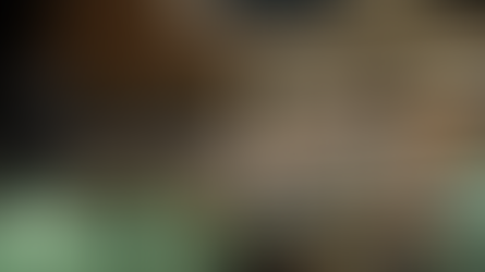 President of Ukraine Volodymyr Zelensky's Visit to the United States