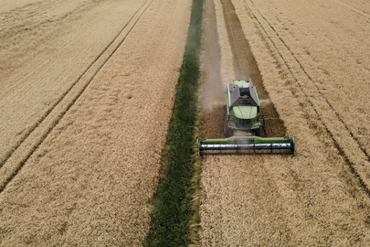 European Parliament approves looser authorisation of NGT crops