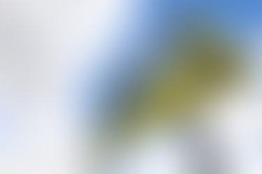 First cooperative forest in Flanders located on the outskirts of Brussels