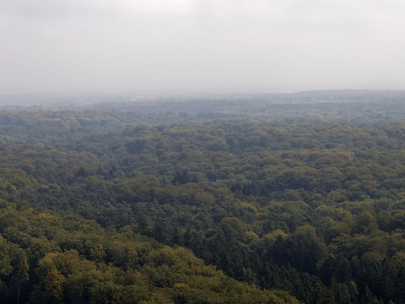 Flanders designates four national parks