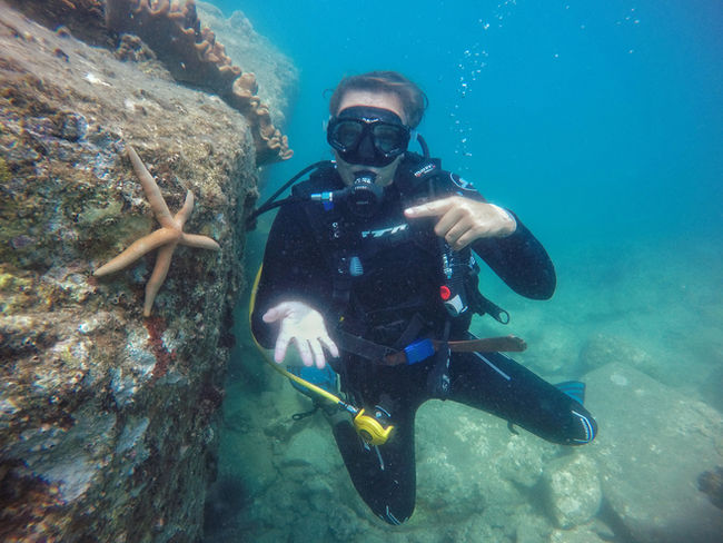 diver and sea star