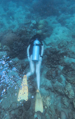 lady diver