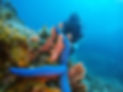 Fun dive phu quoc