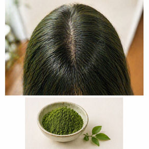 インディゴとは何者？