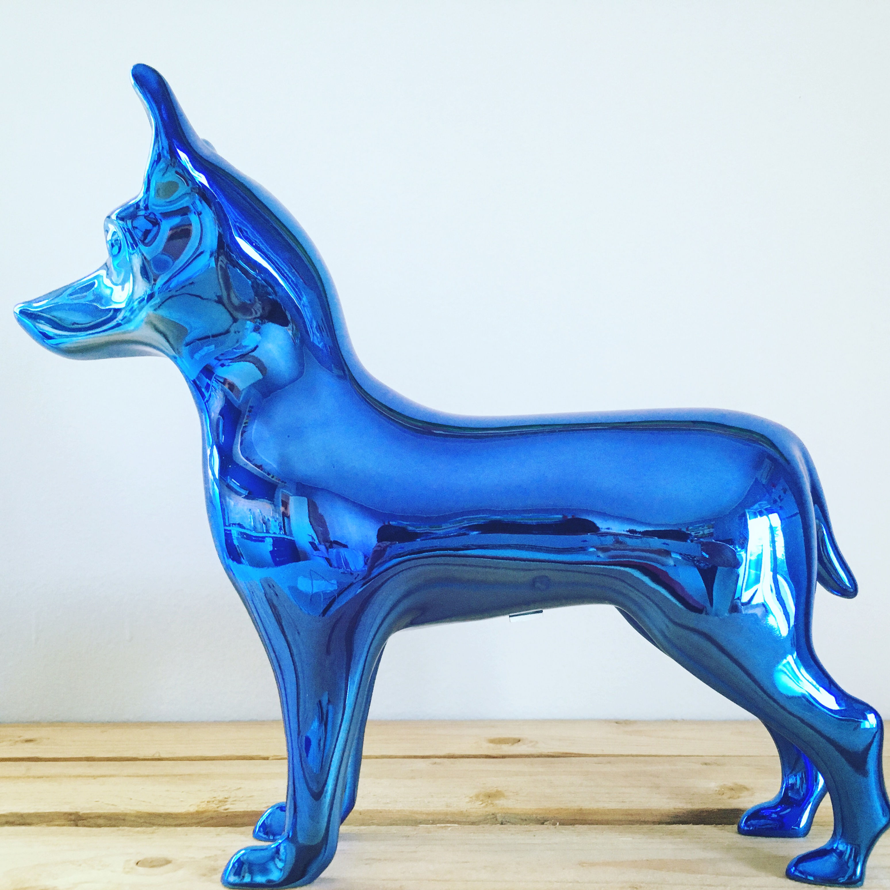 Luxury Charismatic Nina