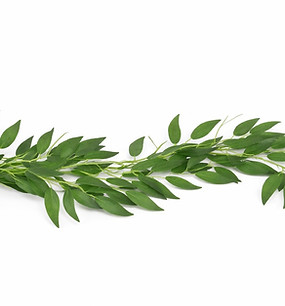 willow garland_edited.jpg