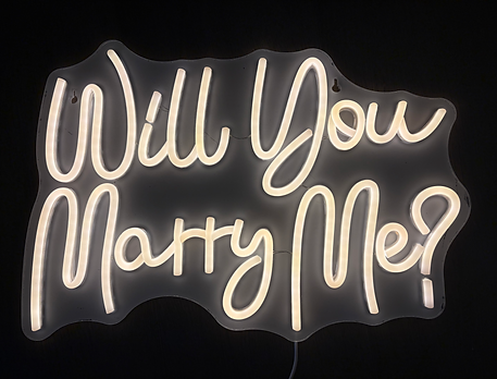 will you marry me sign.heic
