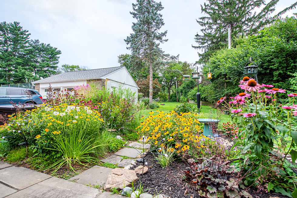 garden design and planting