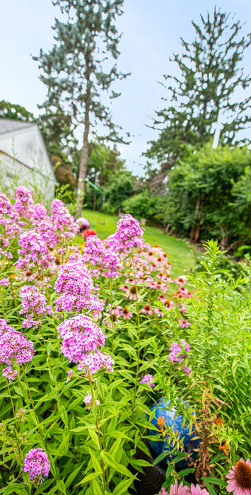 native garden design Melrose Park PA