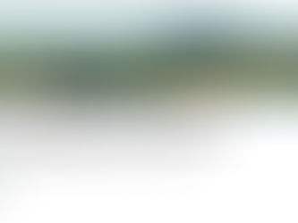 PSA 2/21/2025 3:30 p.m.: Special City Council Meeting Tonight at 5:00 p.m.